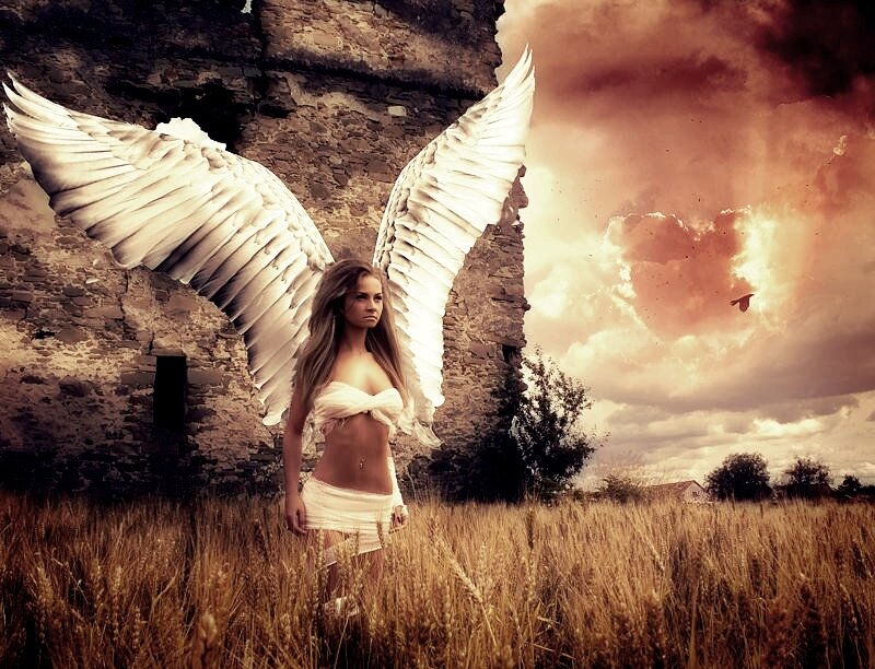 Angel with Large Wings — Brown, Dramatic, Sunset