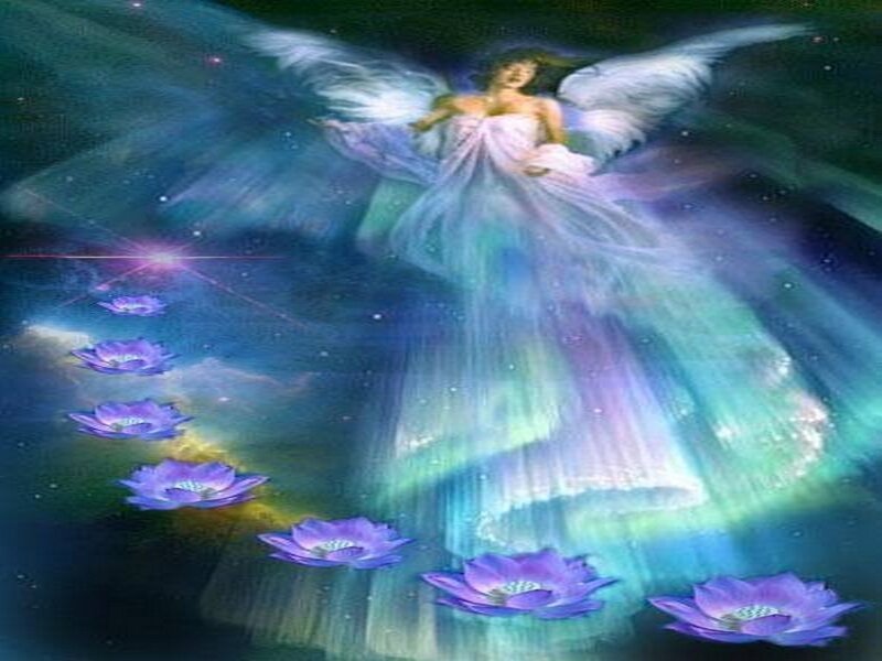 Angel with Lotus Flowers