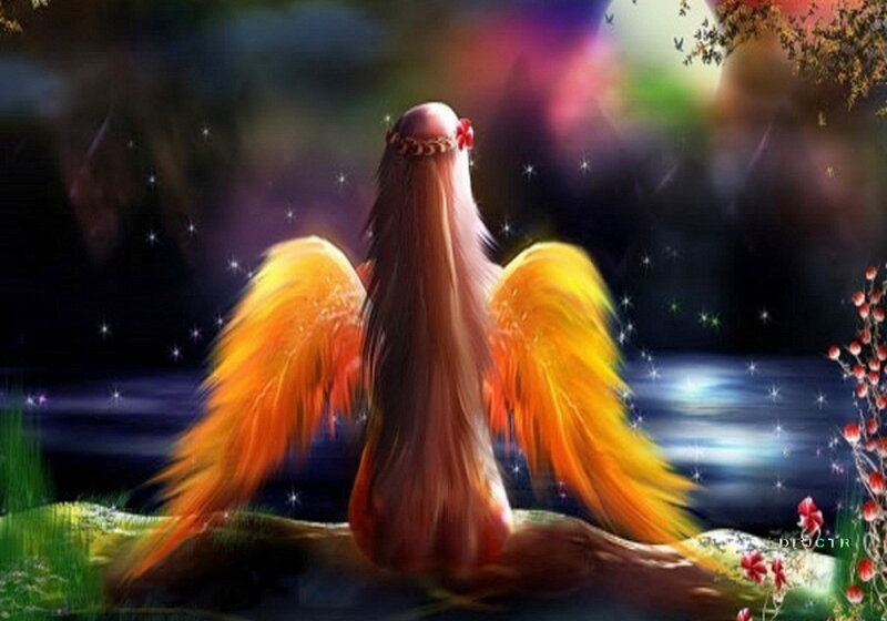 Angel with Orange Wings — Serene