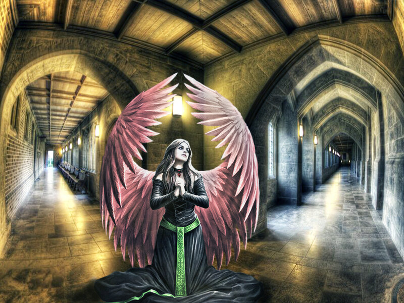 Angel with Pink Wings — Black