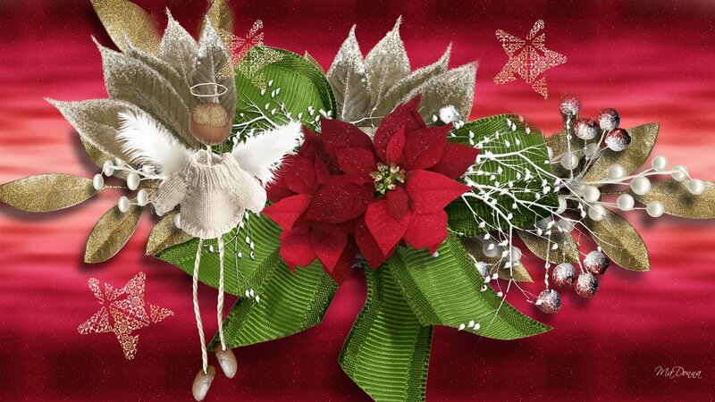 Angel with Poinsettia