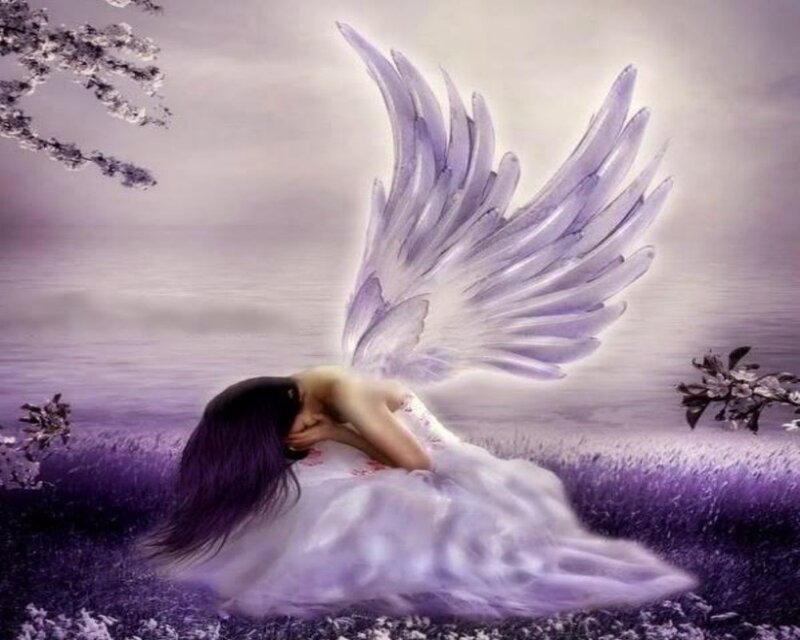 Angel with Purple Wings — Serene, Spring