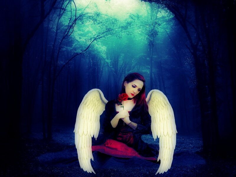 Angel with Red Rose