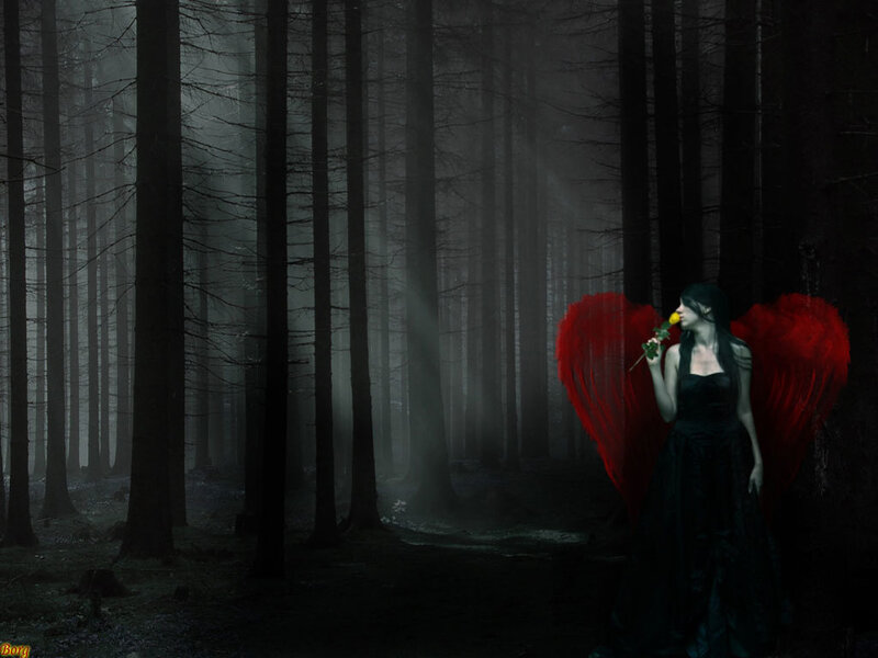 Angel with red wings in forest
