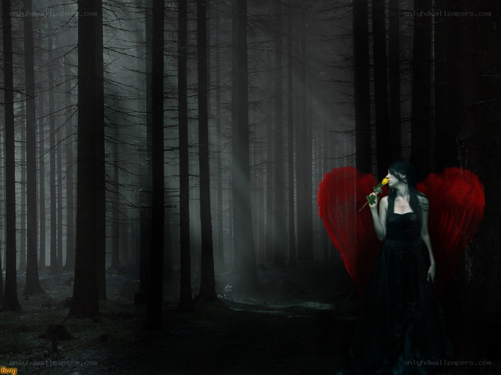 Angel with red wings in forest