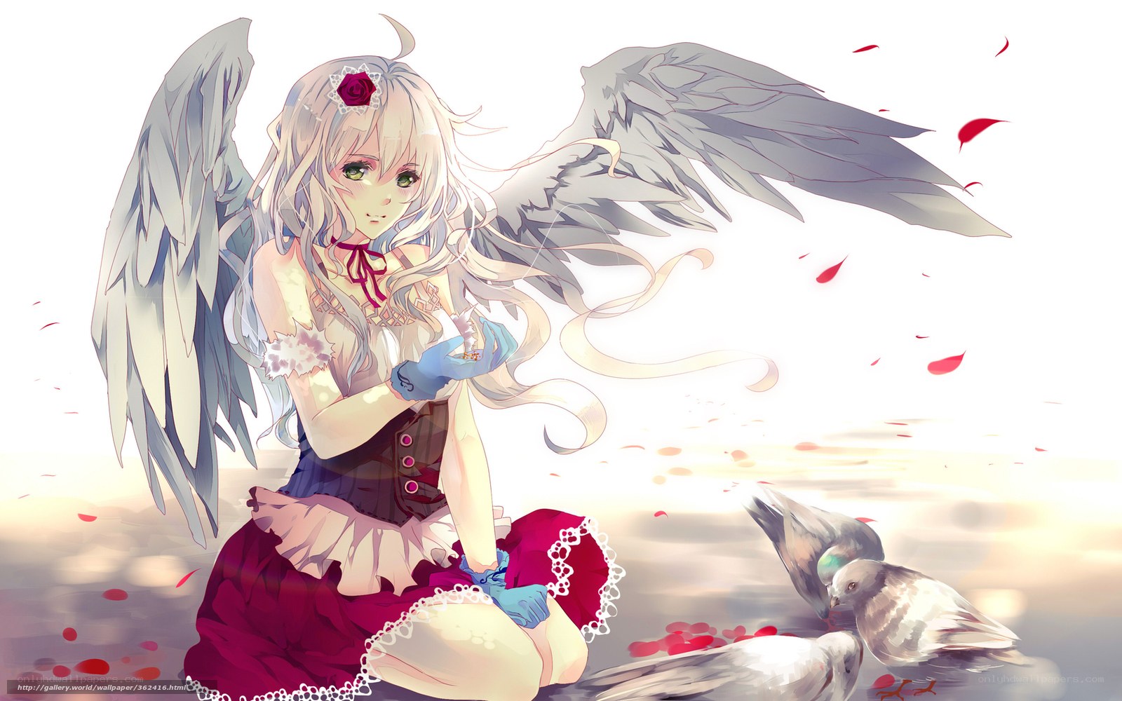 angel with rose and pigeons