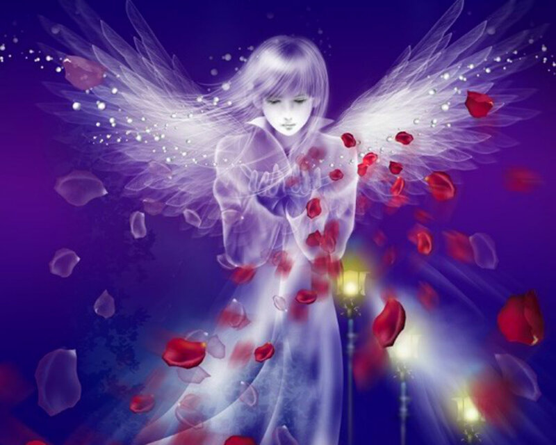 Angel with Rose Petals