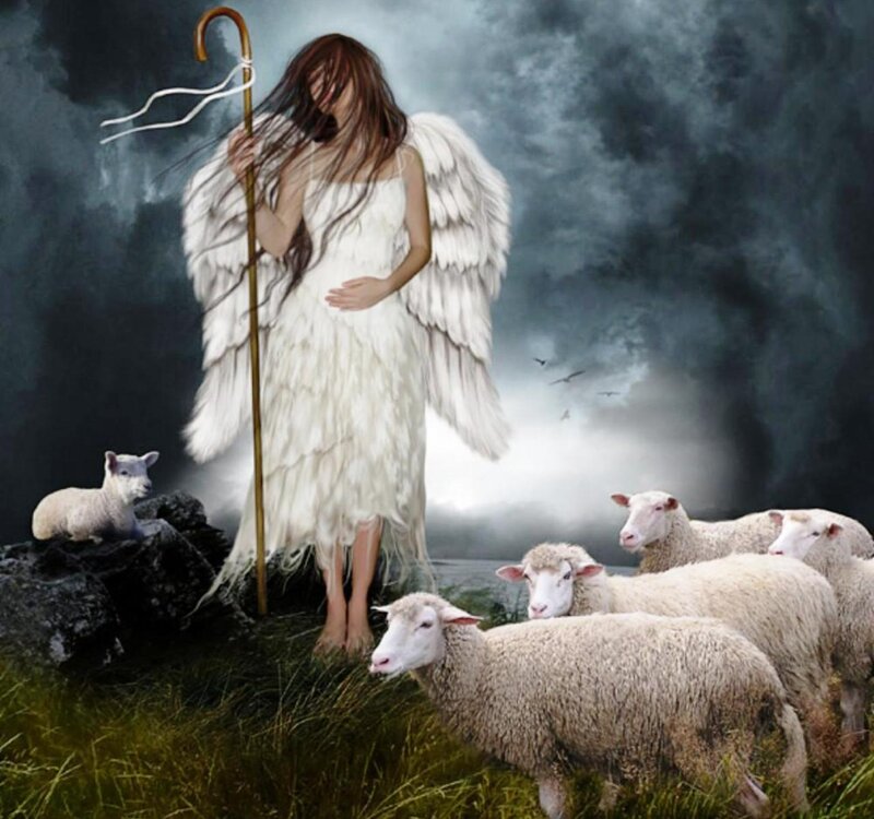 Angel with Sheep