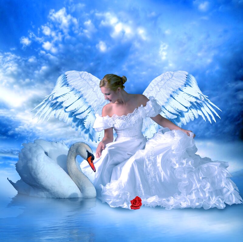 Angel with Swan — Blue, Serene, Digital Art, Rose