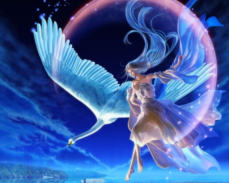 angel with swan in night sky
