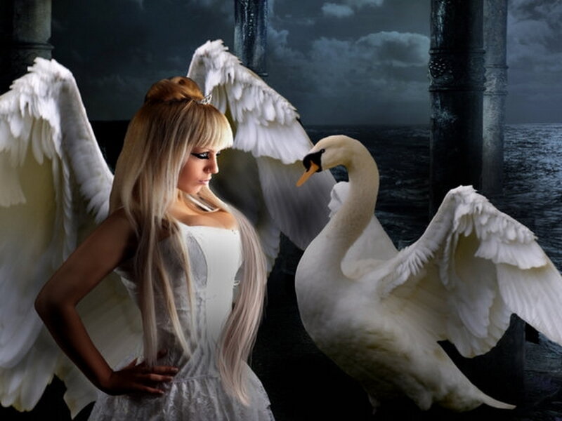Angel with Swan — White