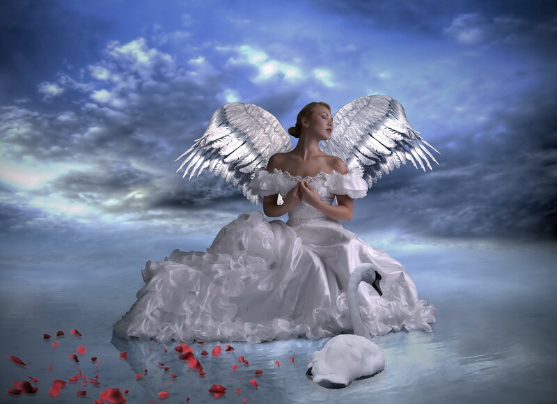 Angel with Swan Wings