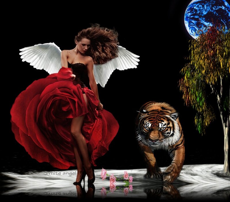 Angel with Tiger — Black