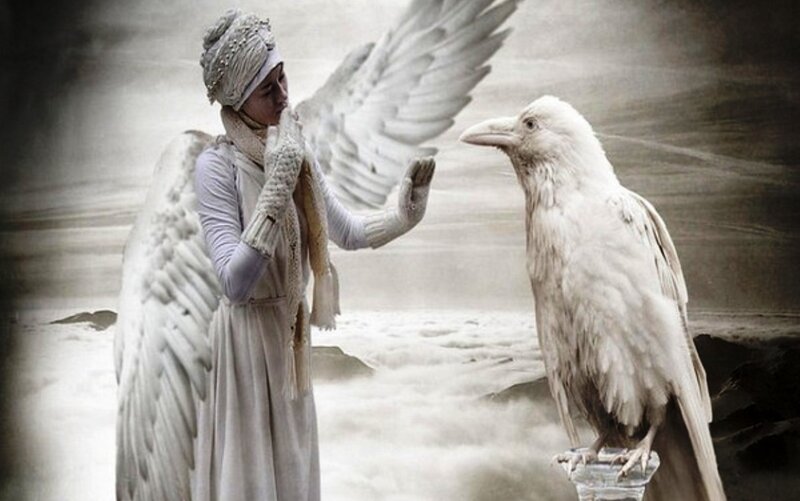 Angel with White Bird — Dramatic