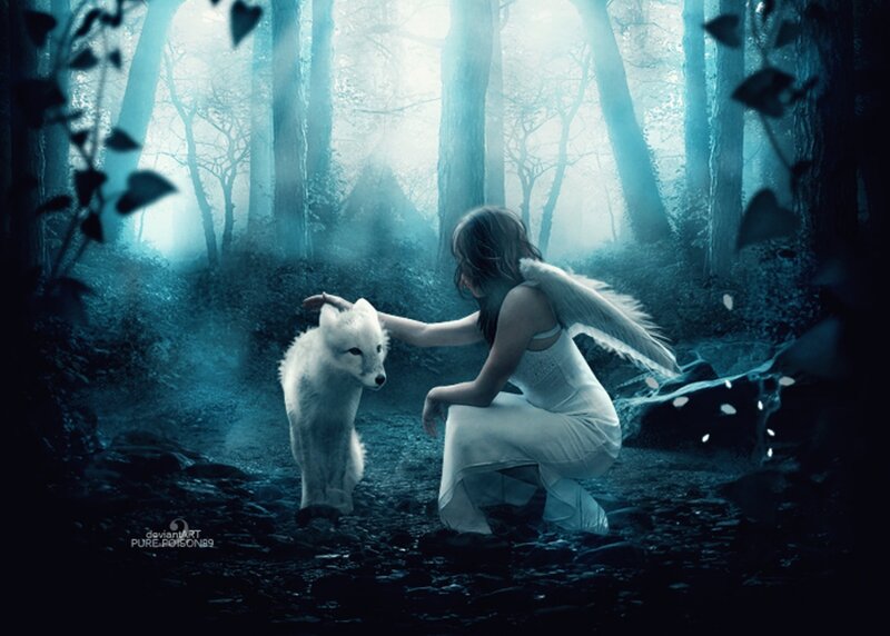 Angel with White Fox