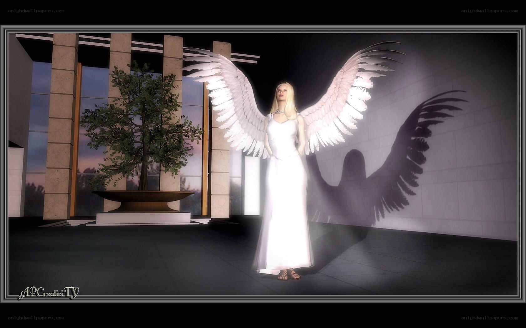 angel with white wings