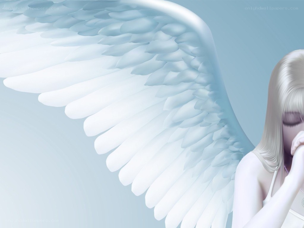 angel with white wings