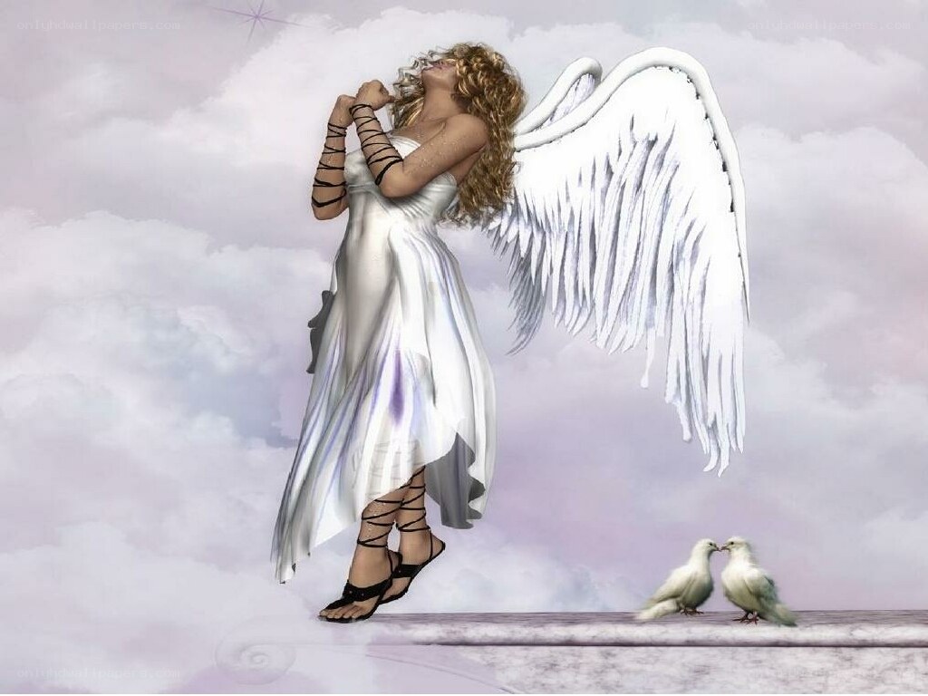 angel with white wings