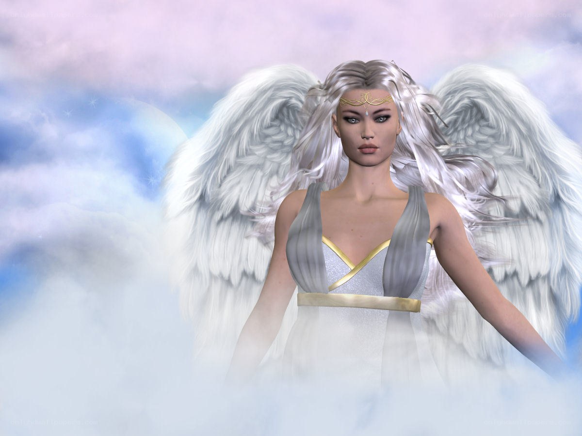 angel with white wings