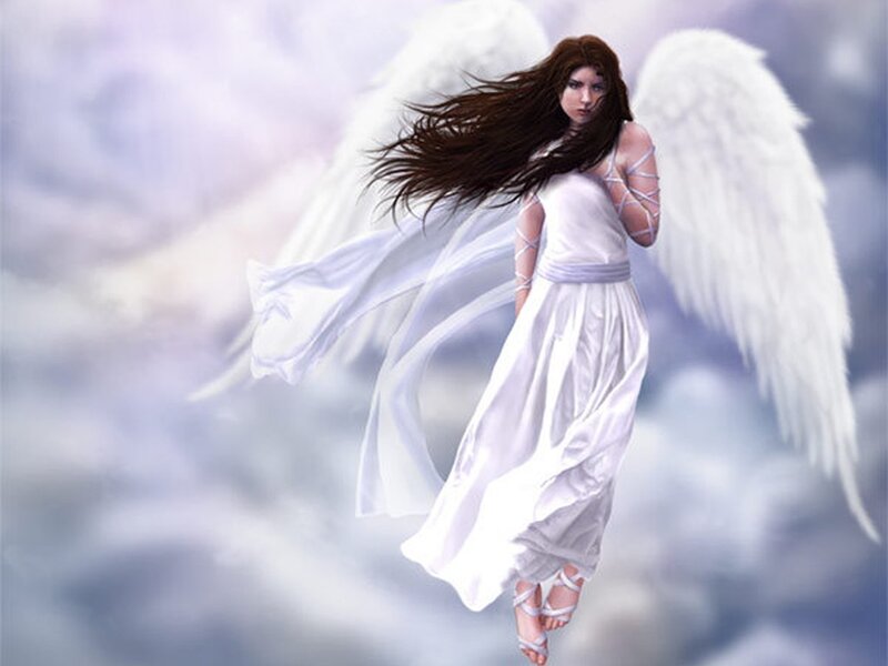 angel with white wings