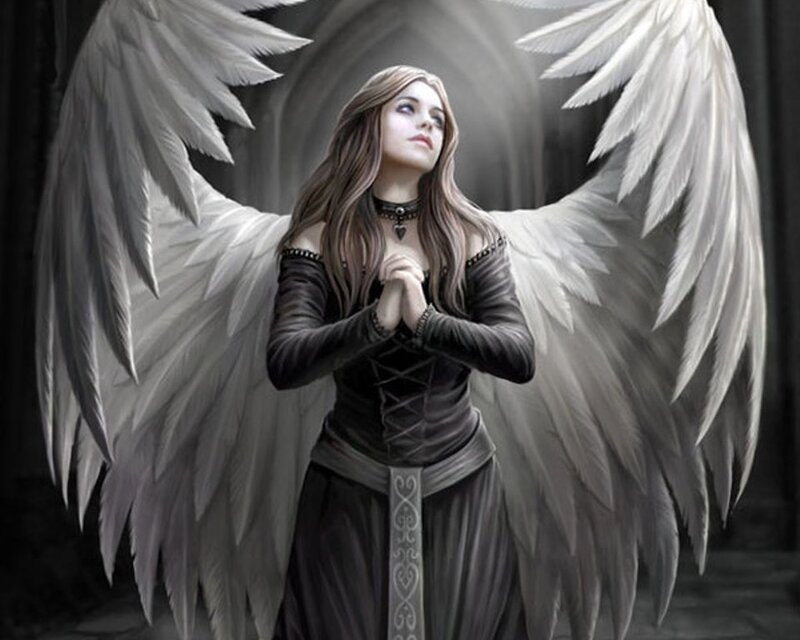 angel with white wings