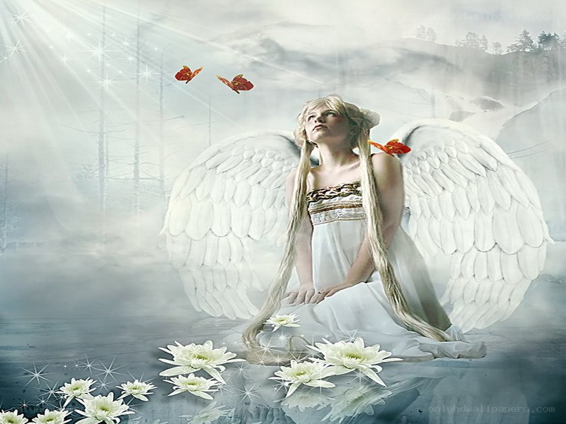 angel with white wings