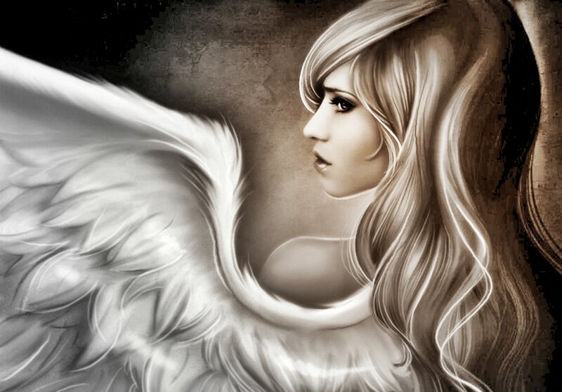 angel with white wings
