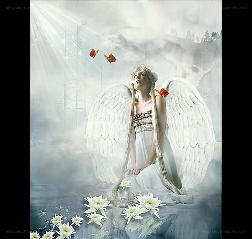 angel with white wings