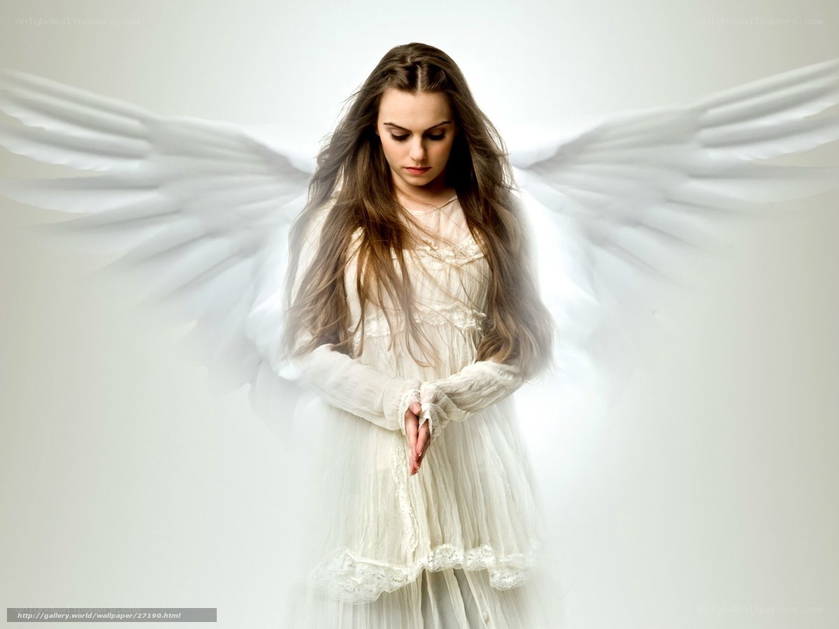 angel with white wings