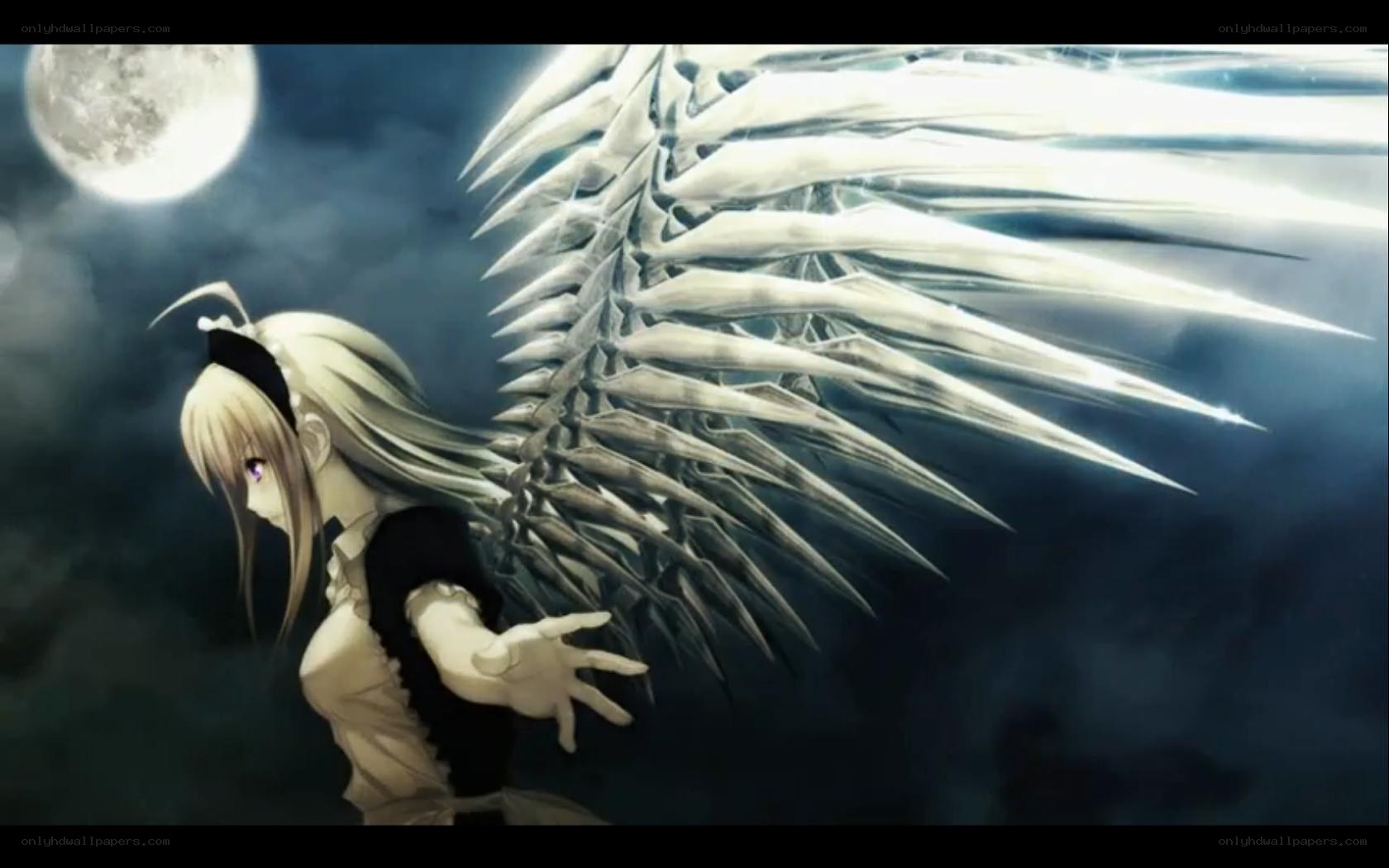 angel with white wings