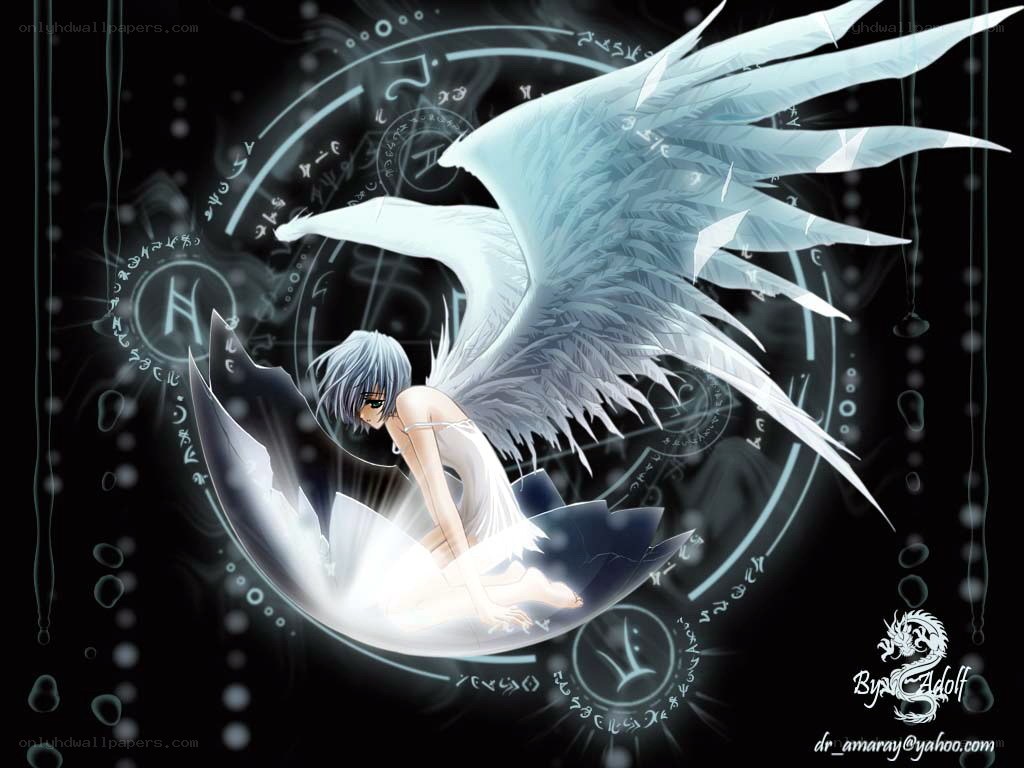 angel with white wings