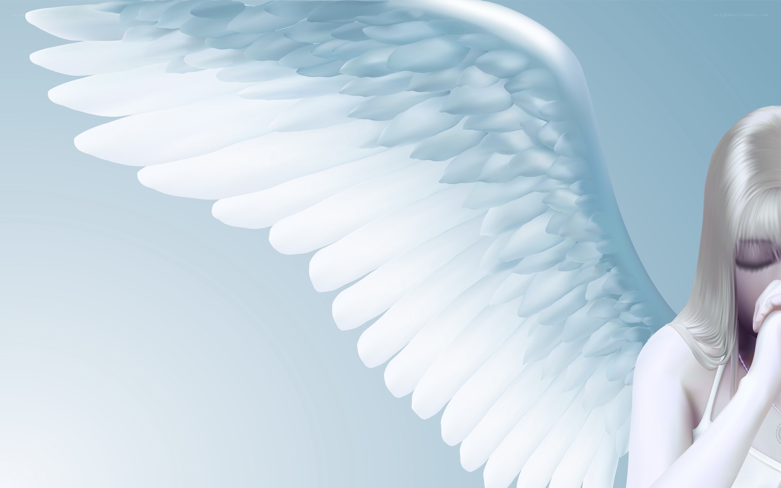 angel with white wings
