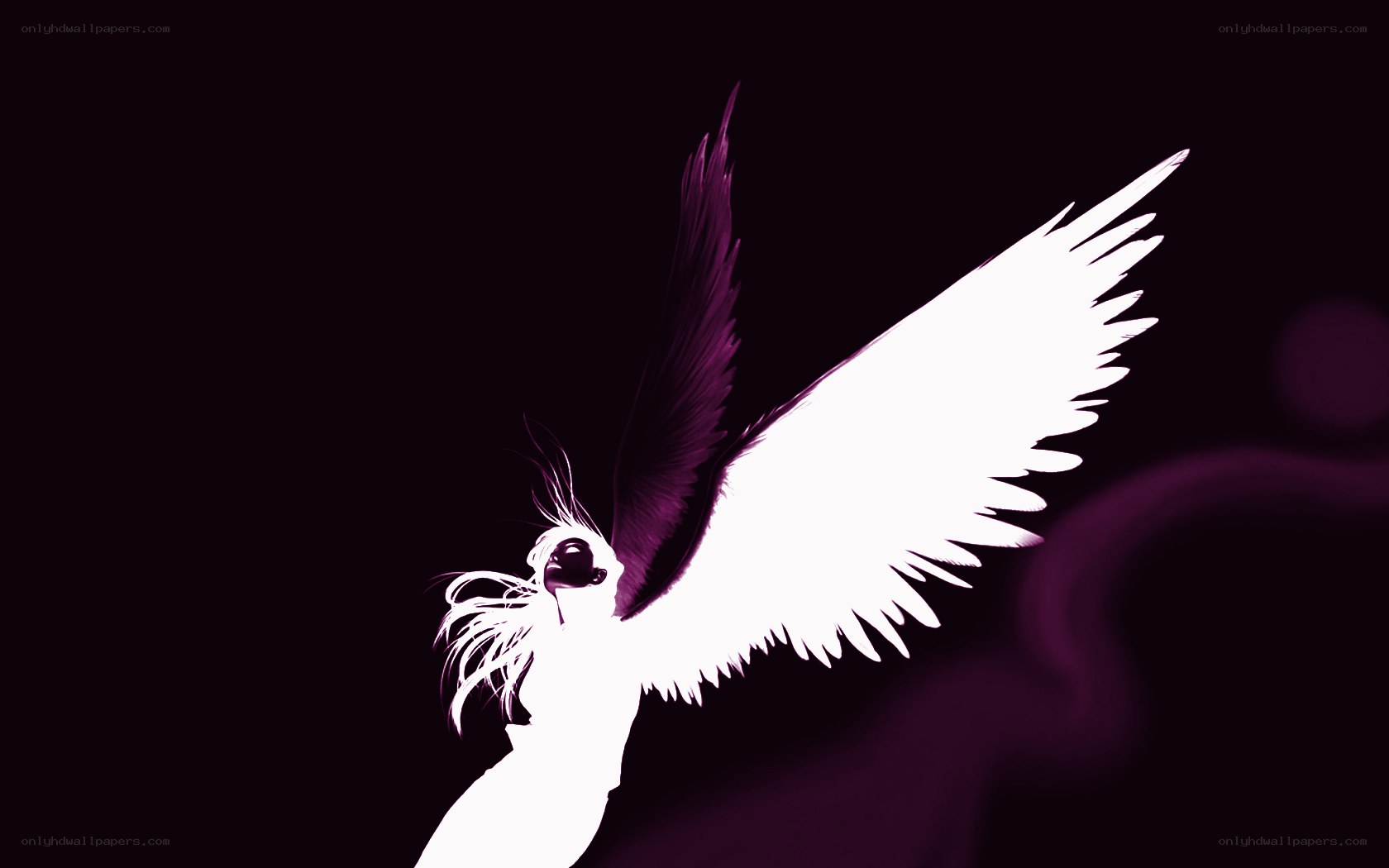 angel with white wings