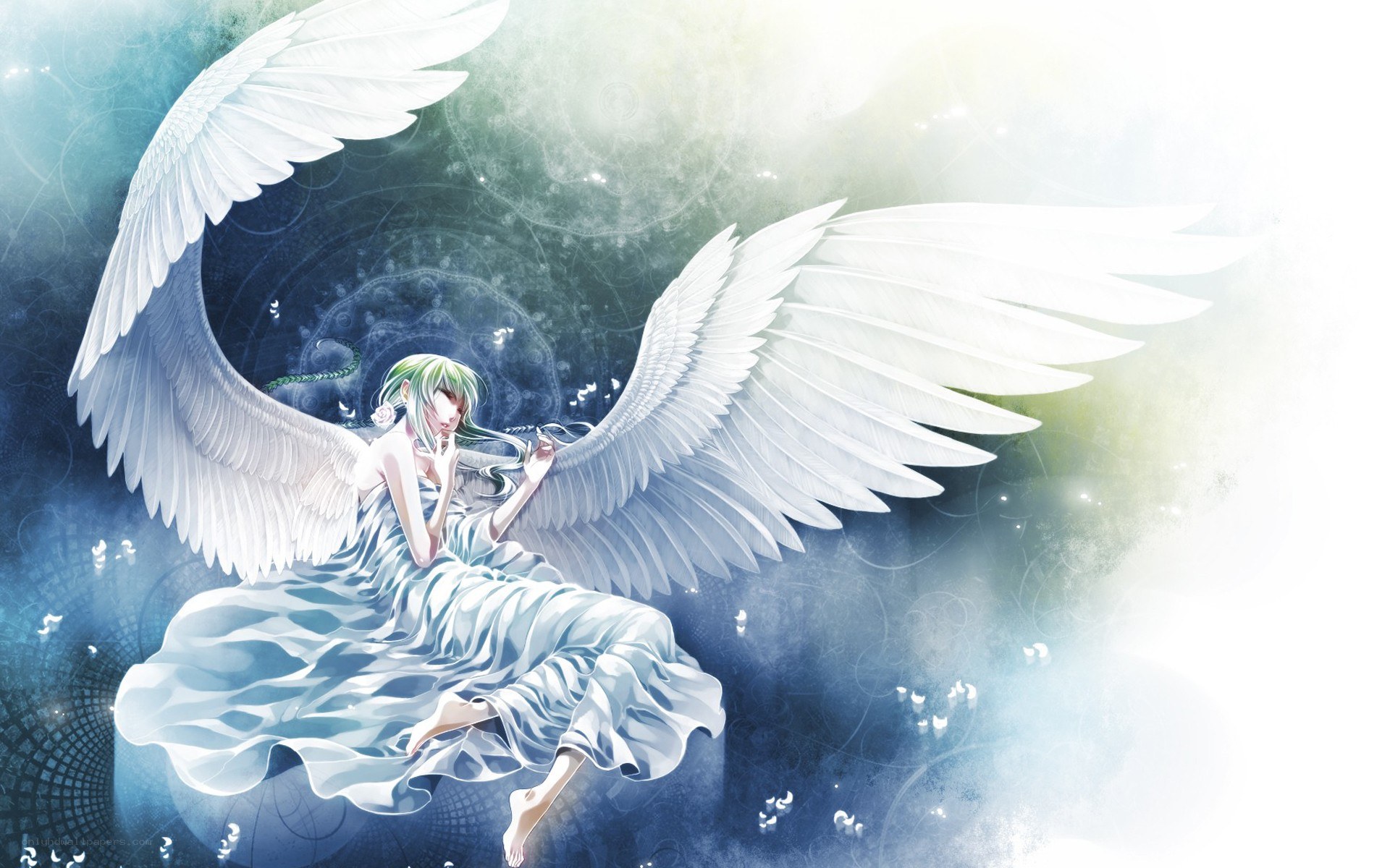 angel with white wings