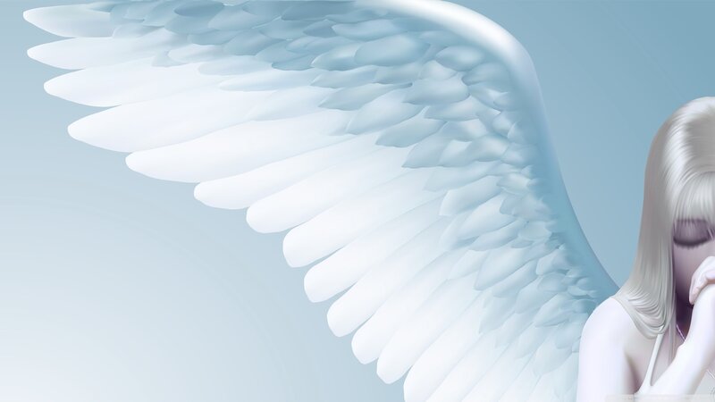 angel with white wings