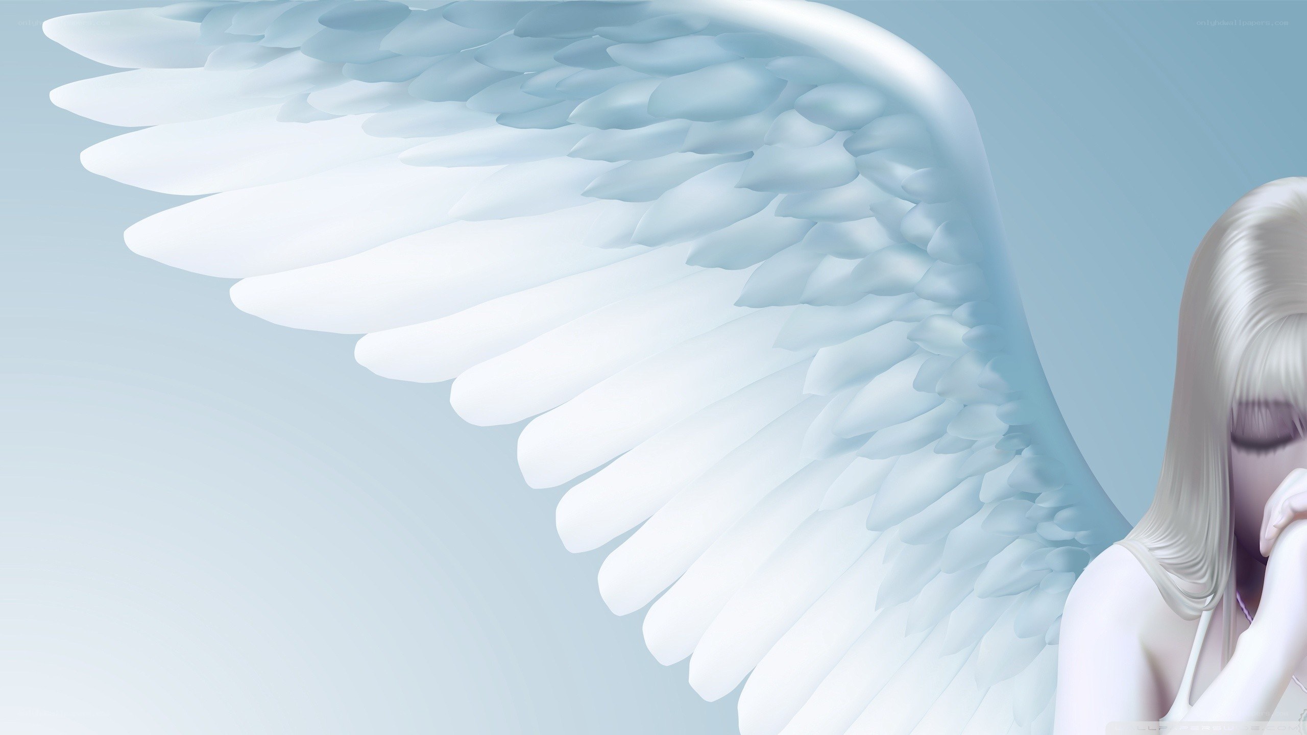 angel with white wings