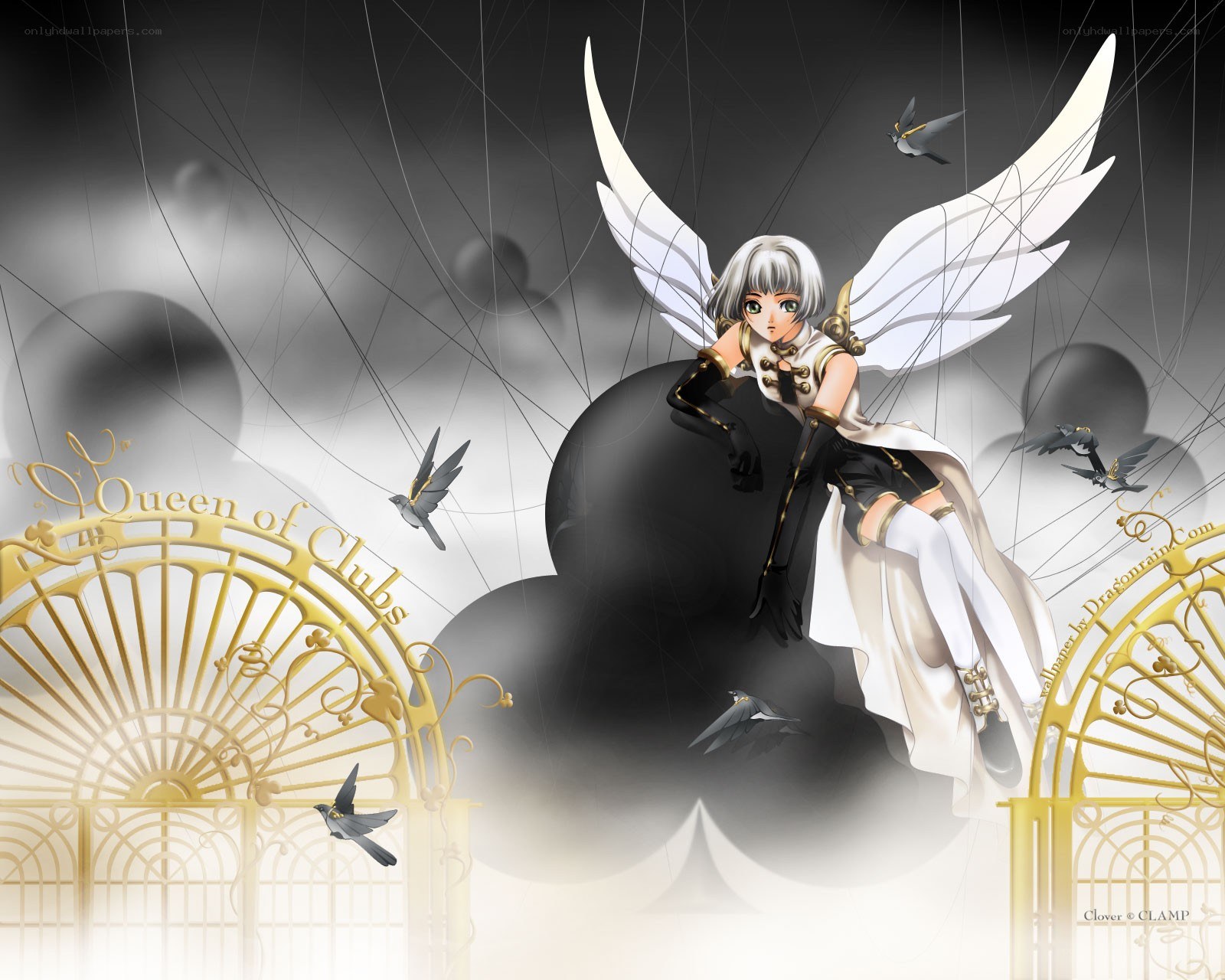Angel with white wings