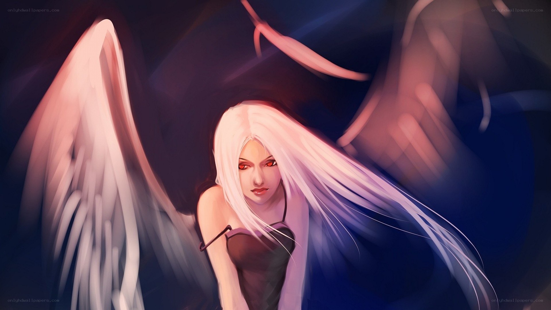 angel with white wings
