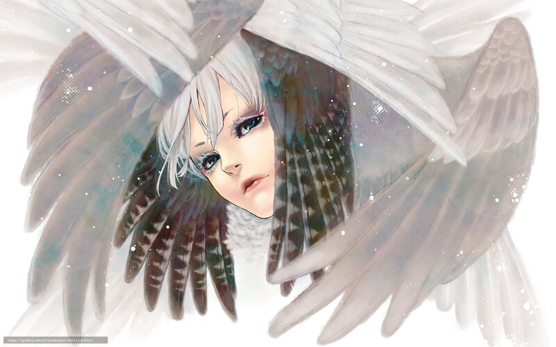 angel with white wings