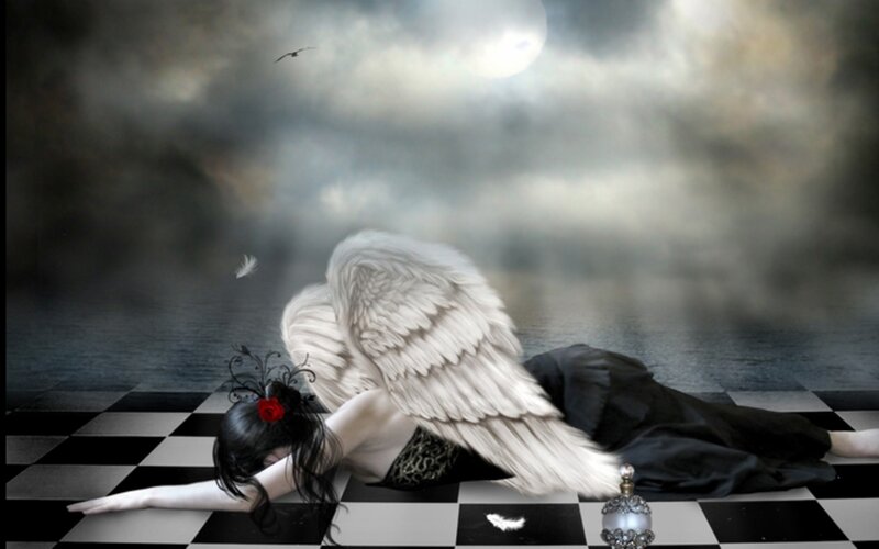 Angel with White Wings — Black, Dramatic, Night, Digital Art, Feather