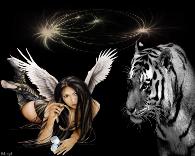 Angel with White Wings — Black, Dramatic, Night