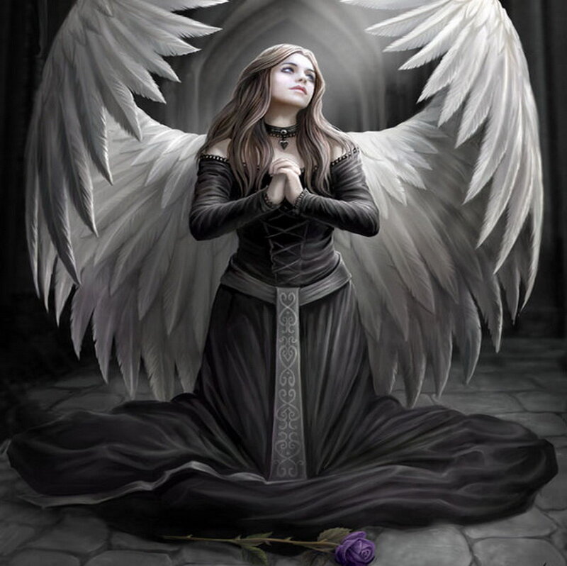 Angel with White Wings — Black, Dramatic