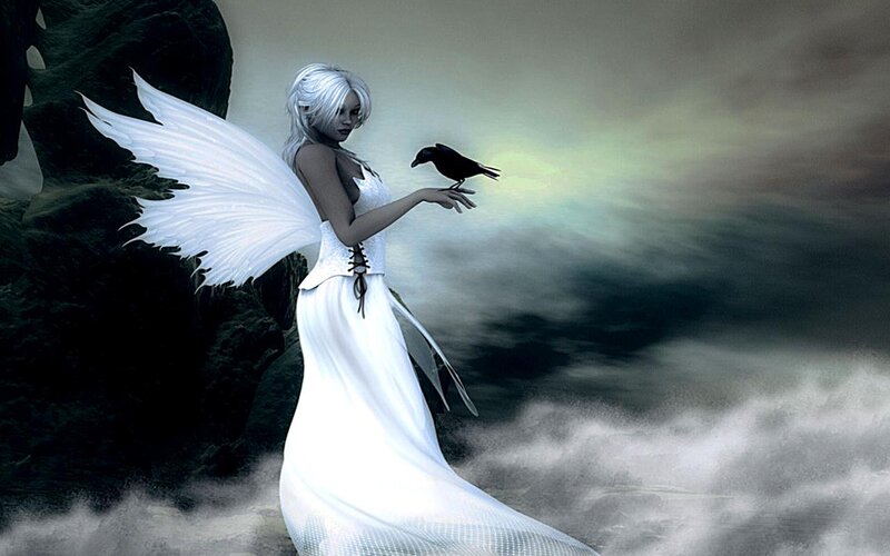 Angel with White Wings — Dramatic, Digital Art, Bird