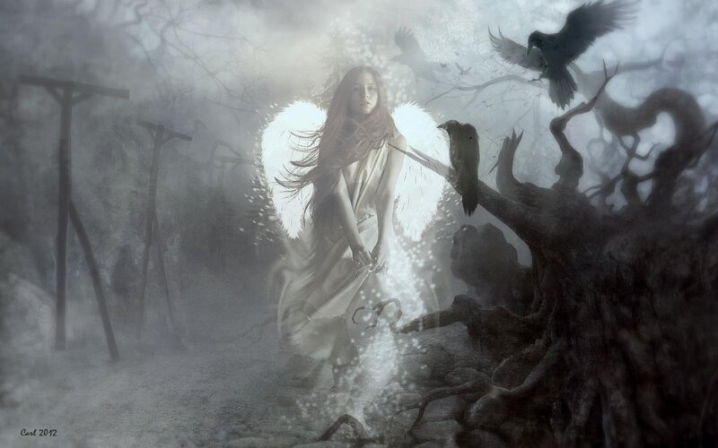 Angel with White Wings — Dramatic, Night, Digital Art, Crows