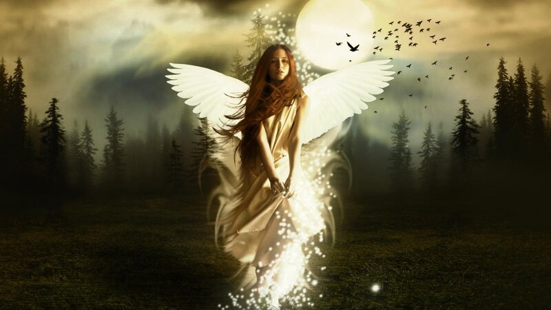 Angel with White Wings — Dramatic, Night, Digital Art, Forest, Moon, Birds