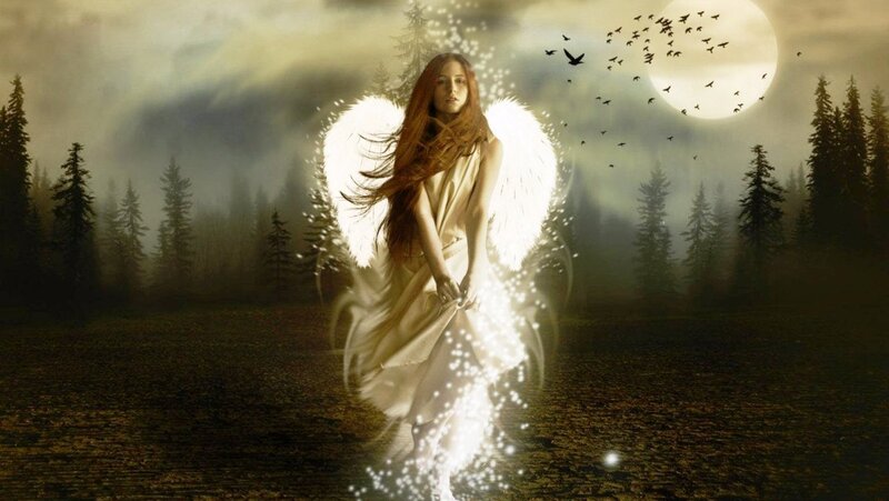 Angel with White Wings — Dramatic, Night, Digital Art, Forest, Moon