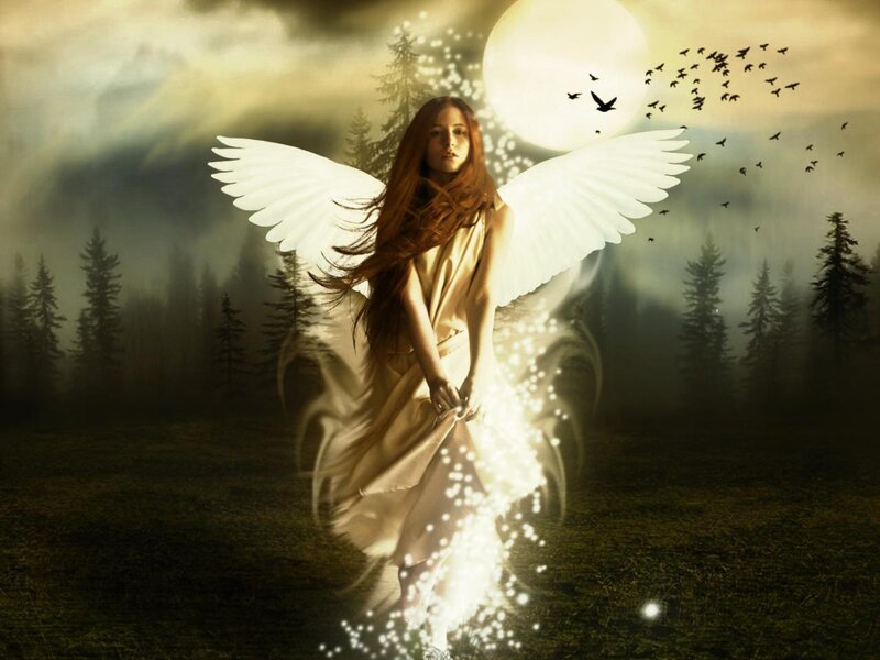 Angel with White Wings — Dramatic, Night, Digital Art, Forest