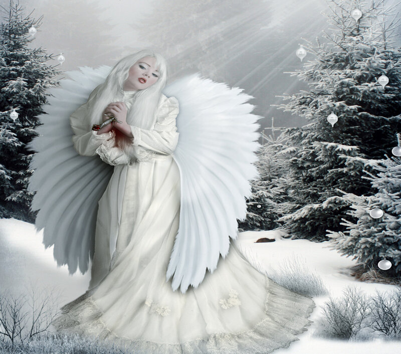 Angel with White Wings — Dramatic, Winter