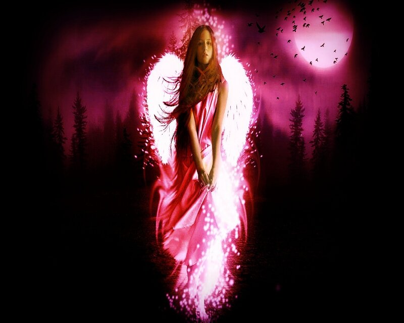 Angel with White Wings — Pink, Dramatic