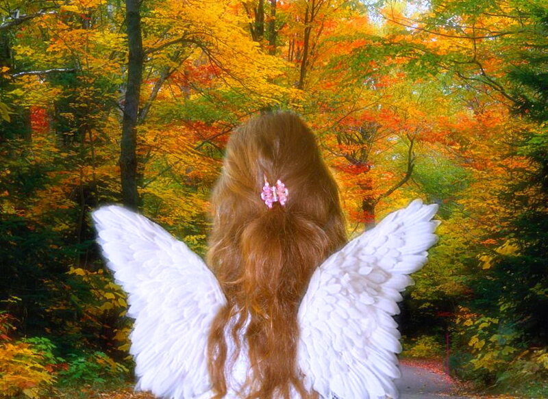 Angel with White Wings — Serene, Autumn